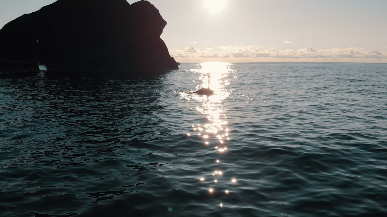 Sunrise over rocks and sea with bird