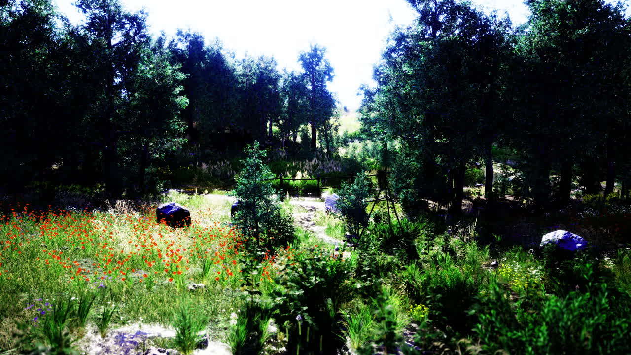 Vibrant wildflowers bloom in a lush forest setting during sunny daytime