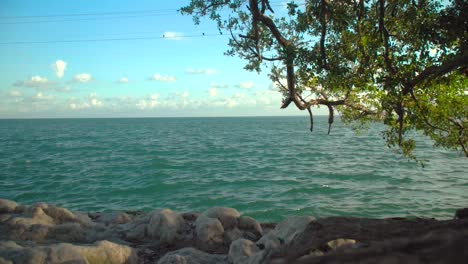 Trípode-Vista-Azul-Del-Océano-Y-El-Cielo-Con-Rocas-Y-árboles-De-Mangle-Verde-En-Los-Cayos-De-Florida