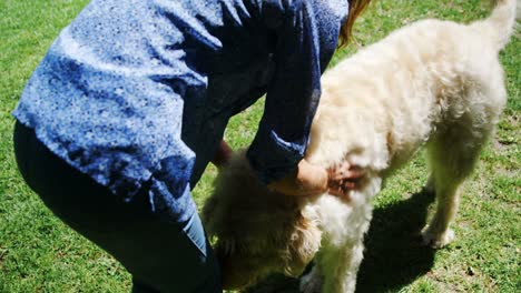 mujer madura acariciando a su perro en el jardín 4k