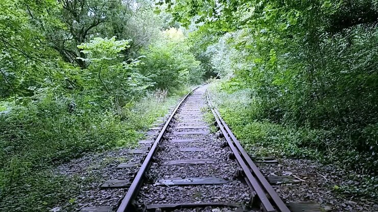 Vecchi binari ferroviari arrugginiti e abbandonati che si perdono in una fitta foresta lussureggiante