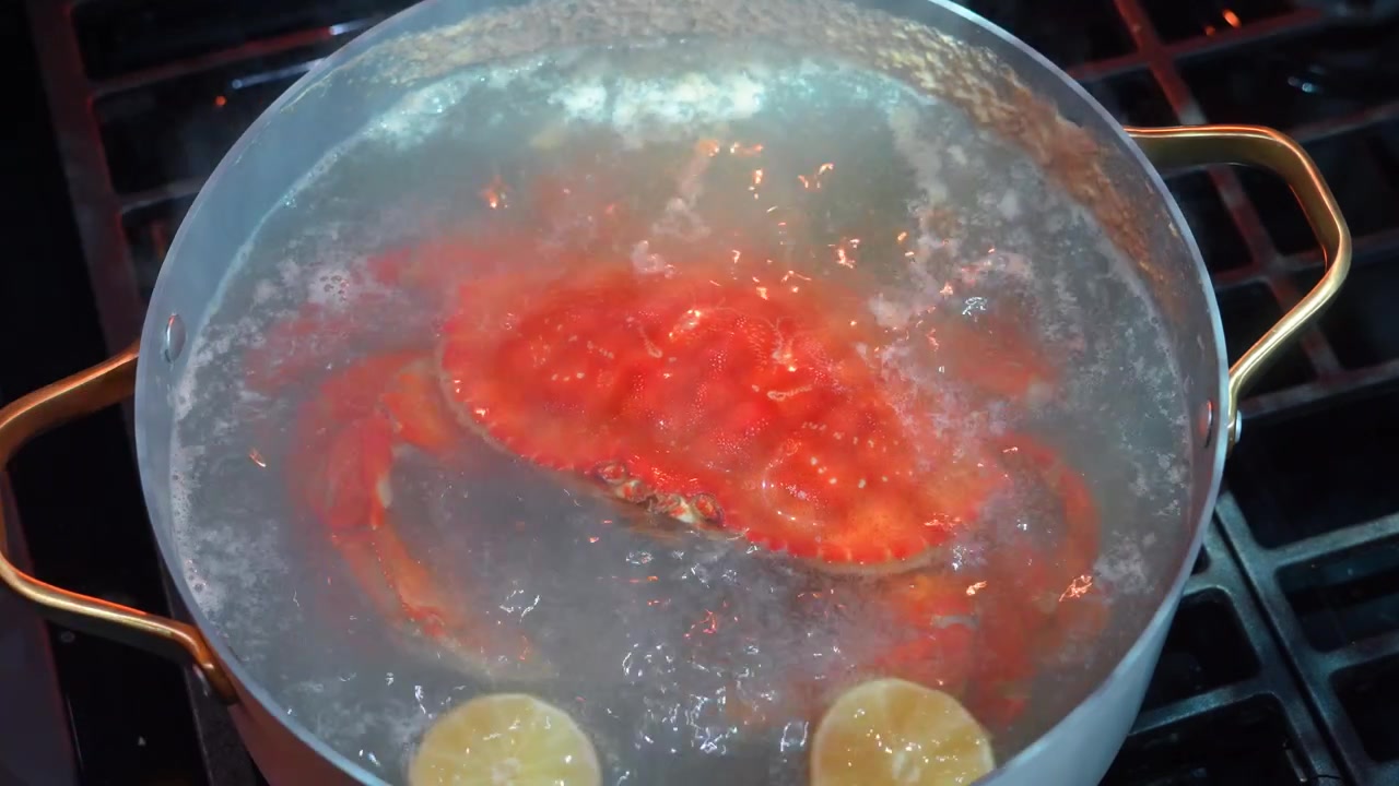Granchio in ebollizione in una pentola con acqua e fette di limone sul fornello. Un grosso granchio bolle in una pentola d'acqua sul fornello.