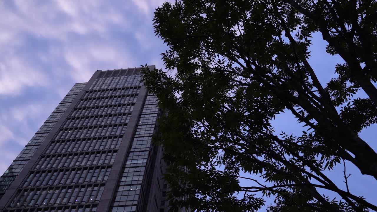 低角度向上看高高的摩天大,樹木的 siluet 與美麗的雲天對面 - 右側的旋轉拍攝