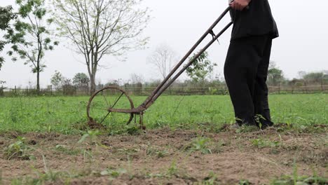 farmer cleaning chilli grass with hand machine