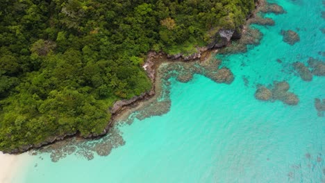 top down view of water slowly moving along coral coast line in fiji