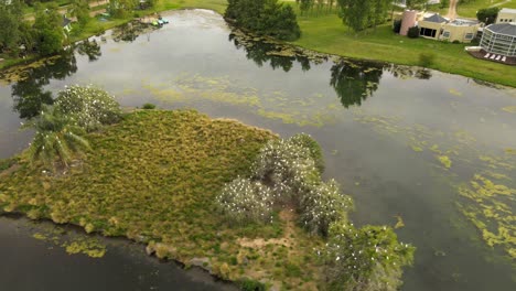 orbital of a small islet in the middle of a pond with a flock of great white egrets resting on top of trees surrounded by a relaxing resort in nature