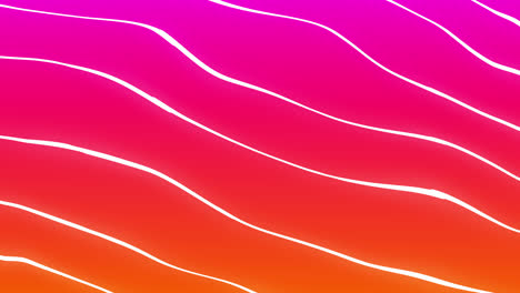 Animation-of-white-lines-moving-on-pink-and-orange-background