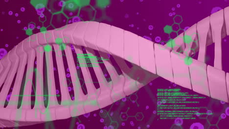 Animation-of-dna-strand-and-scientific-data-processing