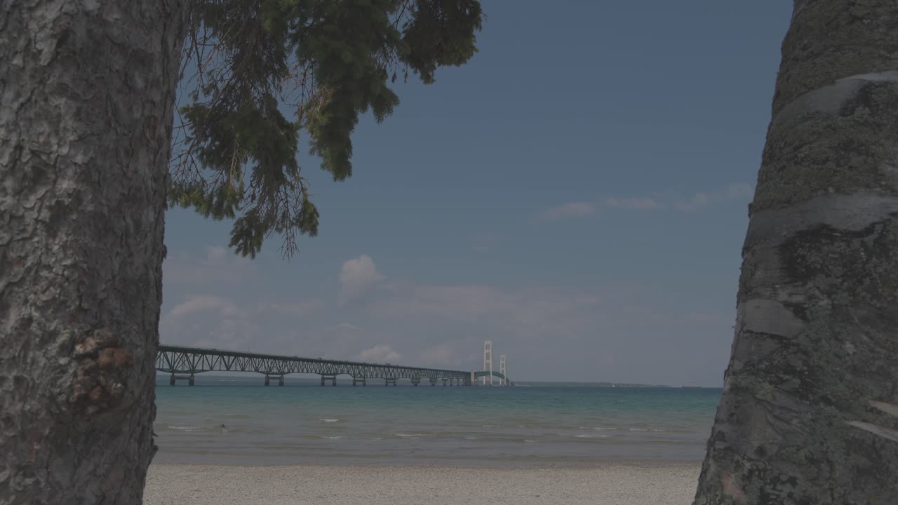 View of the Mackinac Bridge in Michigan with two trees and the straits of Mackinac and stable video shot