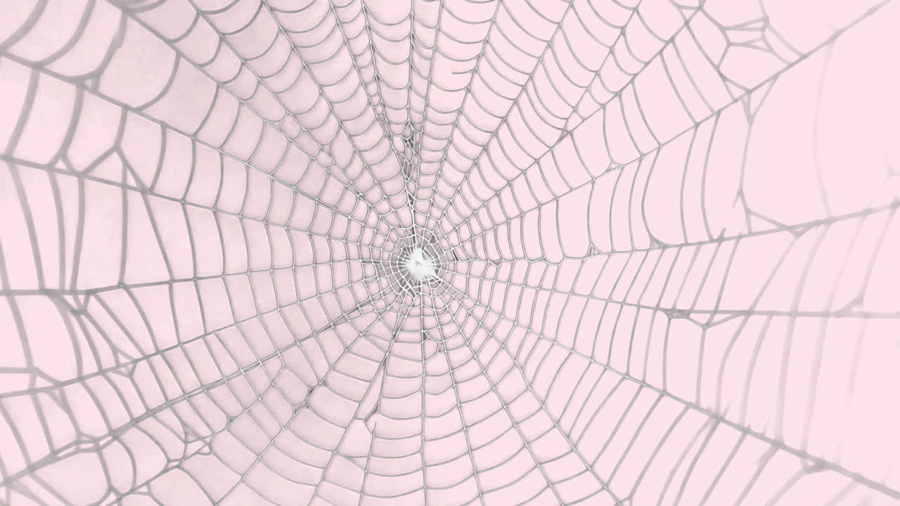 Intricate spider web pattern design animated overlay, transparent 4K video, alpha channel, ProRes