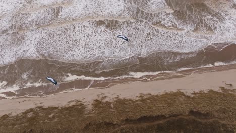 aerial view of kiteboarding on a stormy beach