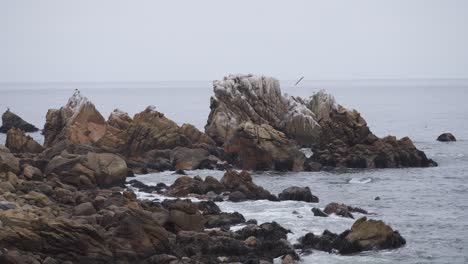 海浪在智利康康的岩石海岸上撞击