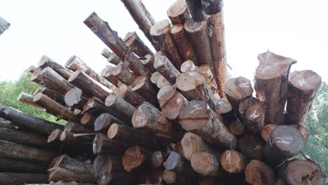 large lumber-stack at a logging site in oregon