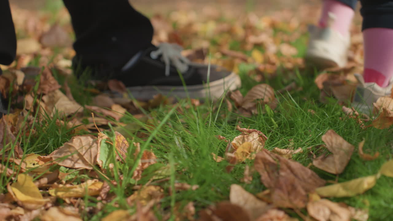 Toddler walks through autumn leaves. Family bonding captured in children exploring crisp fall scenery. Joyful family moments as young child navigates crunchy leaves with parental support and care