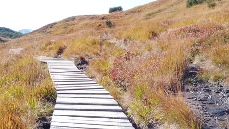 montaña wiegensee con el camino de madera en el parque con bayas silvestres a un lado