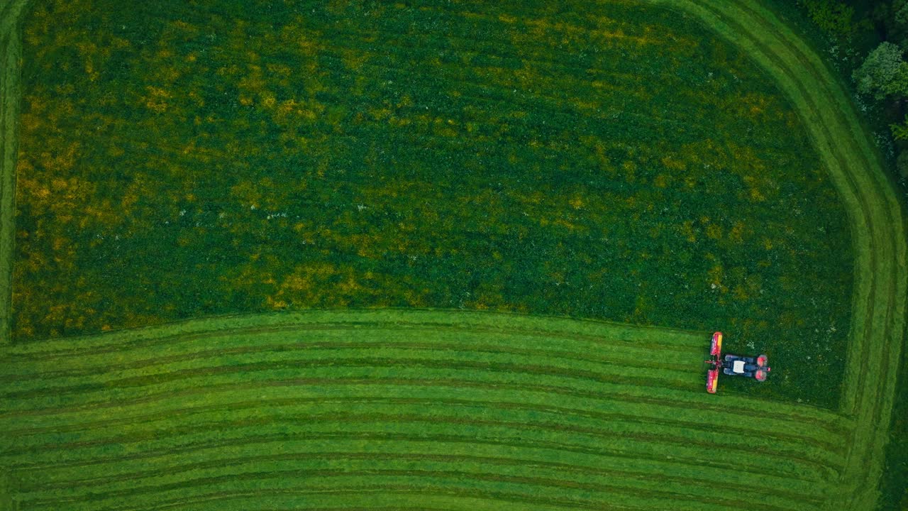Aerial View Of Farm Field With Working Agricultural Mower - Drone Shot