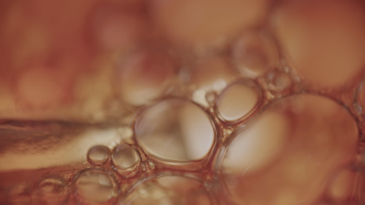 Scatto macro di piccole cellule.