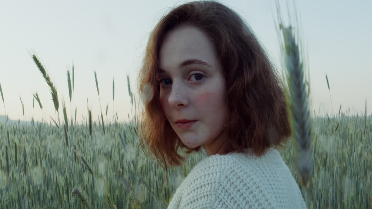 mujer en el campo de trigo al amanecer o al atardecer