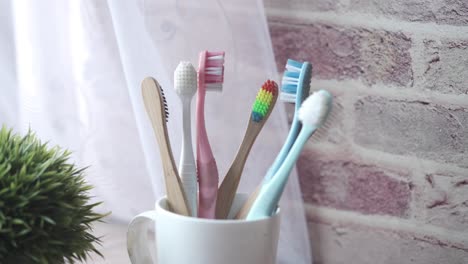 assorted toothbrushes in a mug