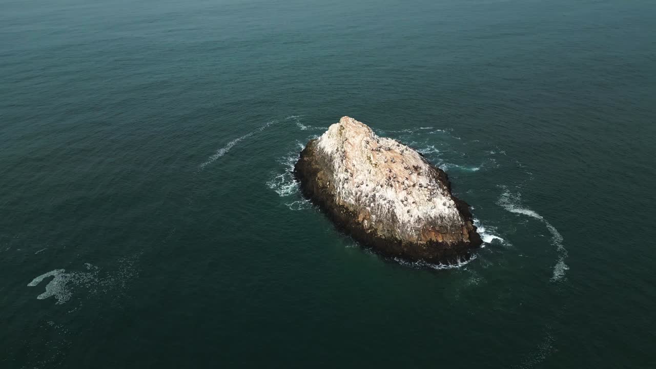 Drone footage of a bird-filled island off the coast of Lima, starting with an orbit around the island and slowly pulling away into the sea.