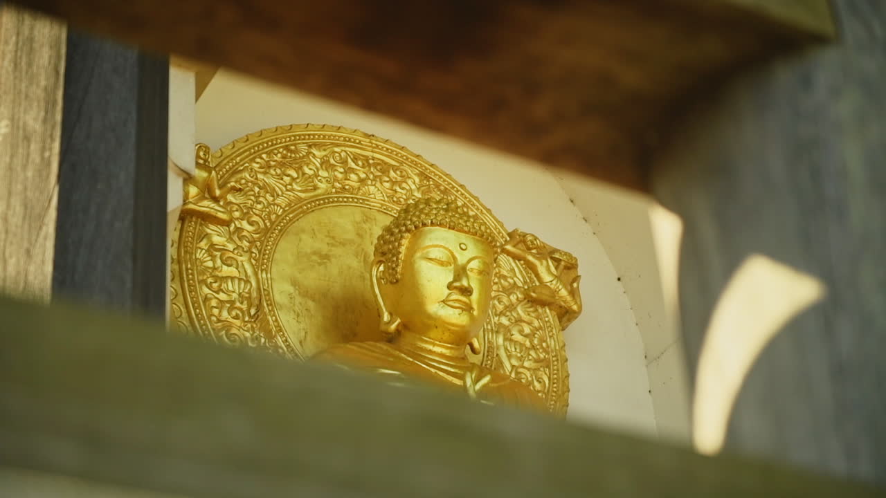 Handheld close up of a golden Buddha’s statue behind wooden guards, Battersea Park