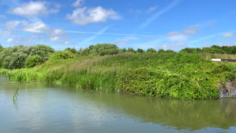 nice summer day on the kennet and avon canal with birds in devizes england, sunny weather with green fields and nature, blue sky, 4k shot