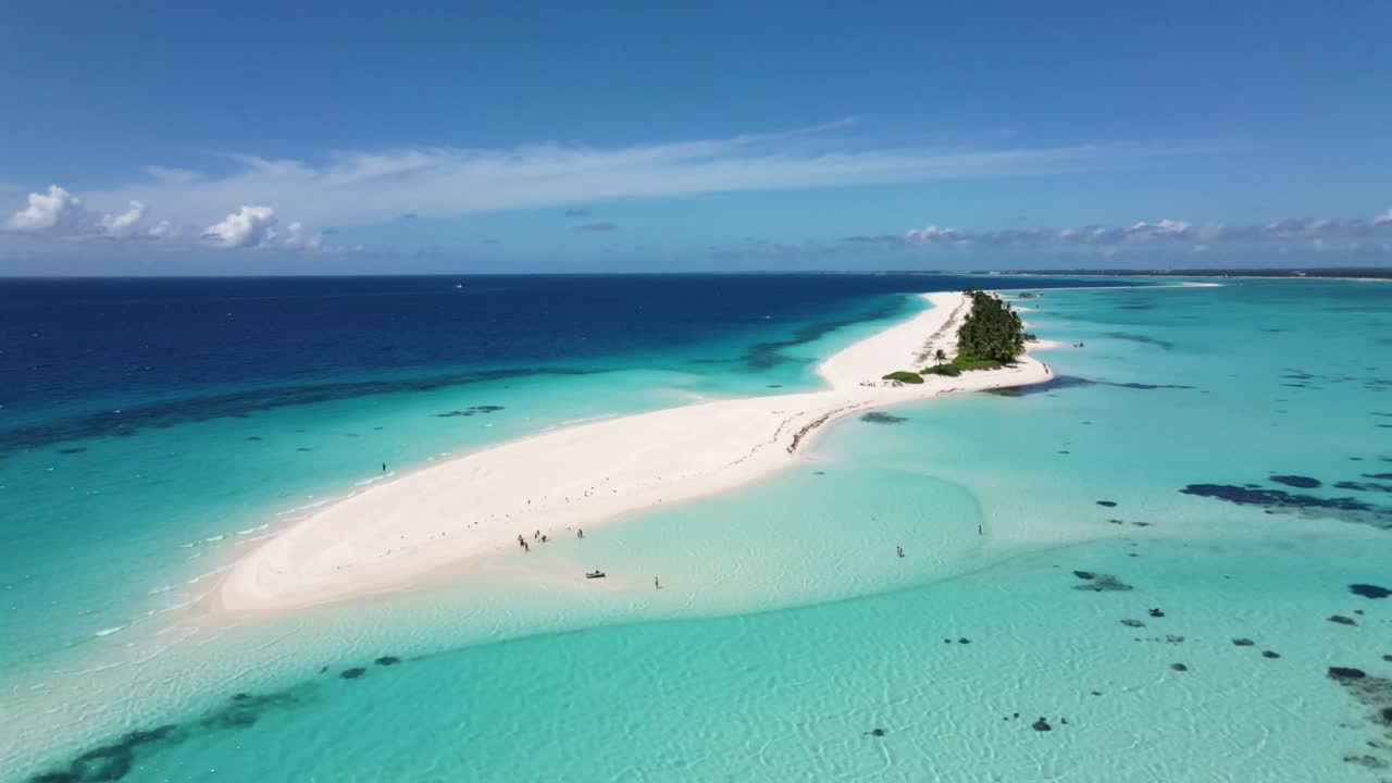 Drone che sale sopra un banco di sabbia bianca verso un isolotto di palme, mostrando la laguna mentre persone in costume da bagno guadano ed esplorano.