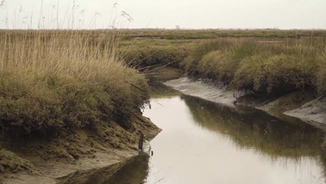 4k muddy river bed in a low tide with some water flowing down the river to the ocean