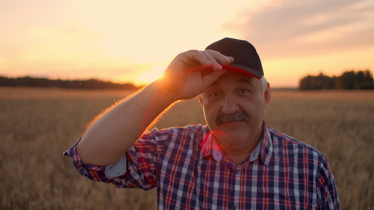 Portrait of a smiling Senior adult farmer in a cap in a field of cereals. In the sunset light an elderly man in a tractor driver after a working day smiles and looks at the camera.