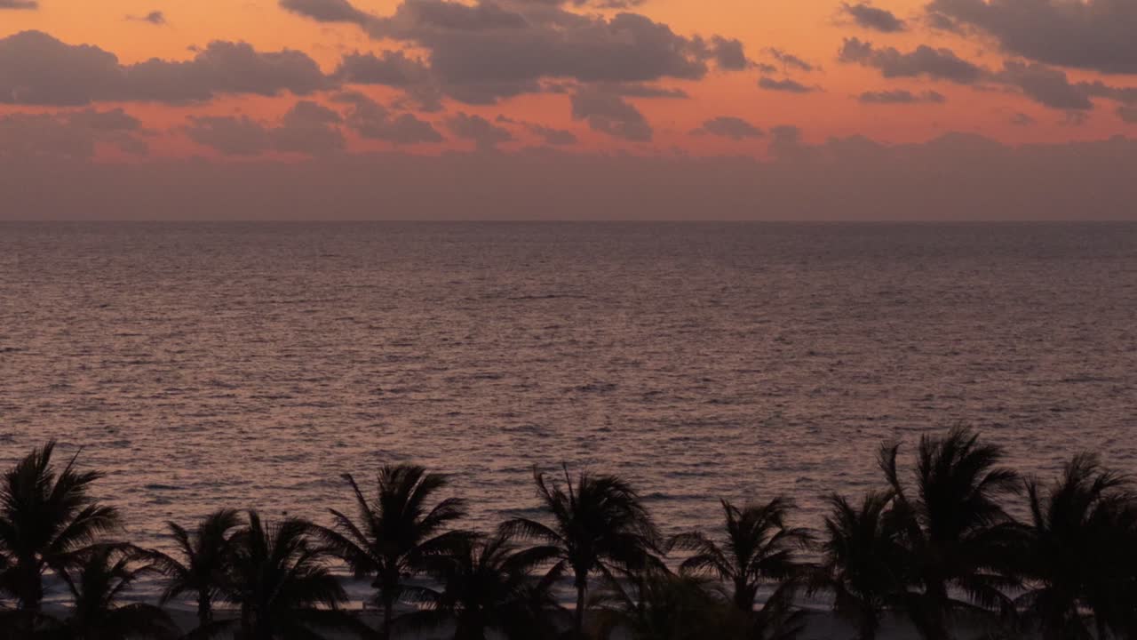 Magic hour ocean sunset beach with palm trees