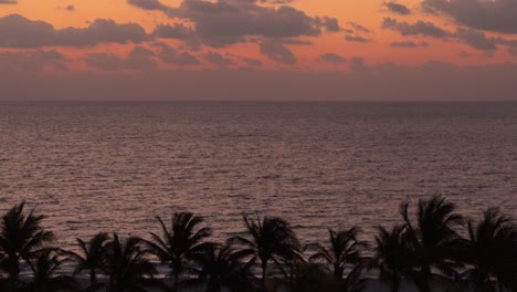magic hour ocean sunset beach with palm trees