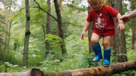 toddler boy balancing on a fallen log in a green forest