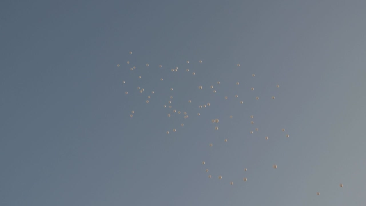 White balloons flying in the cloudless sky.