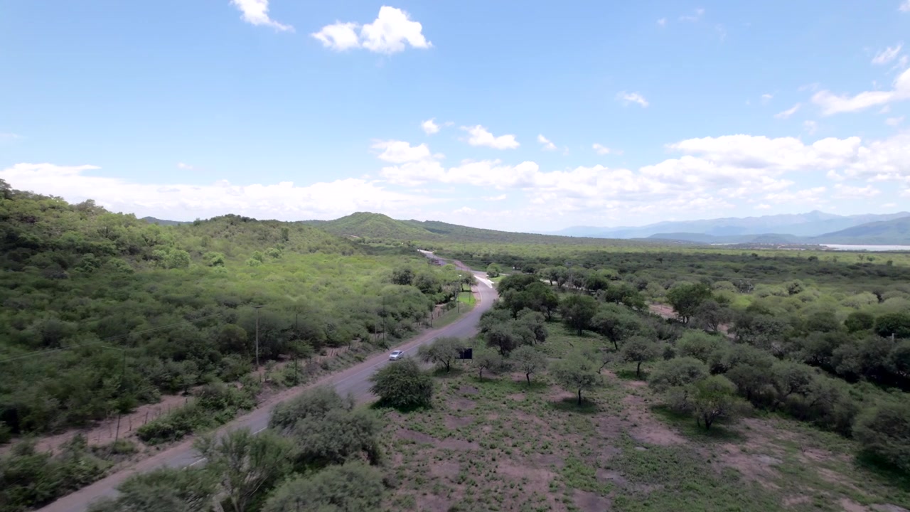 Vista aerea con drone 4K della strada panoramica per Cafayate, Salta, Argentina. Paesaggio verde lussureggiante con alberi che circondano il percorso attraverso le splendide Valli Calchaquí.