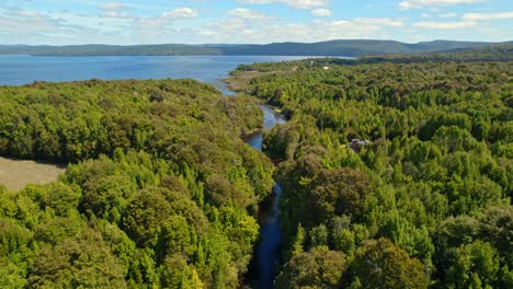 drone flyover bravo river flows into the huillinco lake surrounded by lush vegetation, cucao chile