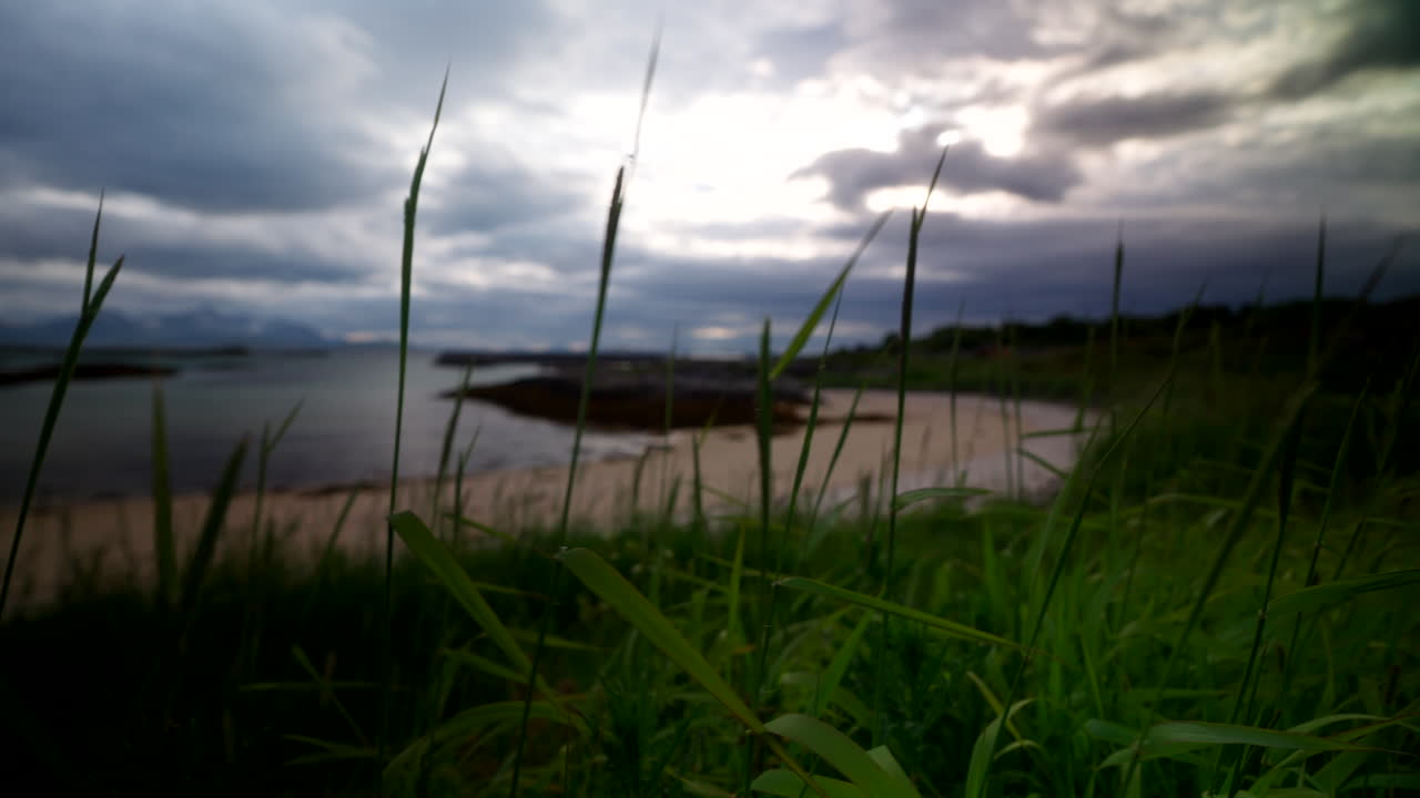 Grass blows in foreground, backdrop of tents set on sandy field beside ocean in Senja, Norway, overcast sky