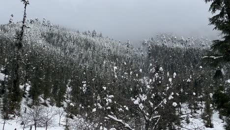snow on roads, snowboarding, and majestic view in kashmir india