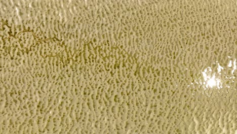 het zwin nature reserve in netherlands, near cadzand