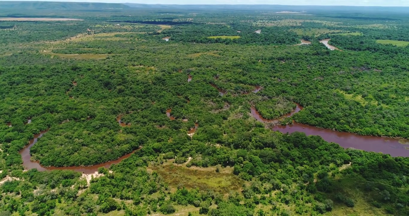 Affluente sinuoso del cerrado che scorre attraverso una fitta foresta a galleria e vegetazione di zone umide stagionali vicino ad Arinos, Minas Gerais, Brasile, all'interno dell'altopiano di Urucuia e del bacino del São Francisco. Imbardata del drone.