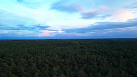 Aerial-Dolly-Push-Over-Veluwe-Forest-Landscape-With-Dramatic-Twilight-Skies