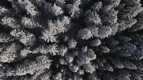 Aerial-shot-in-Switzerland-over-the-town-of-Crans-Montana,-Valais