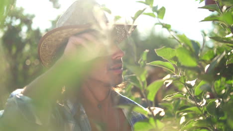 man in a straw hat working in a sunny apple orchard