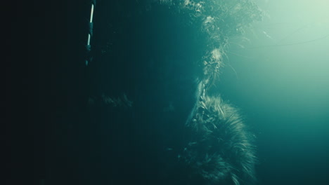A creepy witch rises her head during the night storm