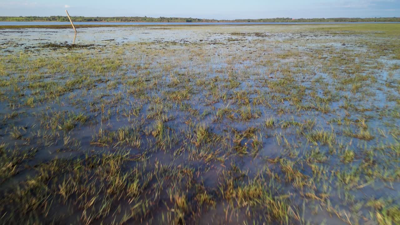 Shallow surface water with green grass blades poking through reflecting bright sky
