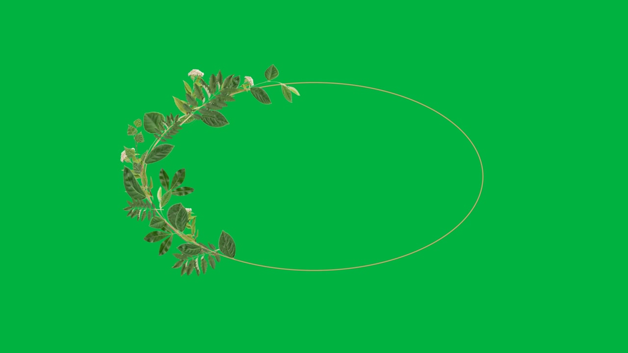 Black frame showing sprig vine unfolding along tan card forming left border collapsing on clear bg
