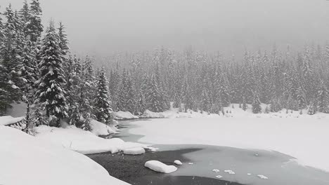 Dolly-Shot-Von-Schneesturm-Am-Gefrorenen-Gold-Creek-Teich-Mit-Nebel-Und-Frost