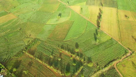 Granja-Tierras-De-Cultivo-Paisaje-Rural