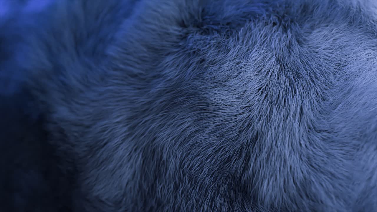 추상적인 파란색 털 질감