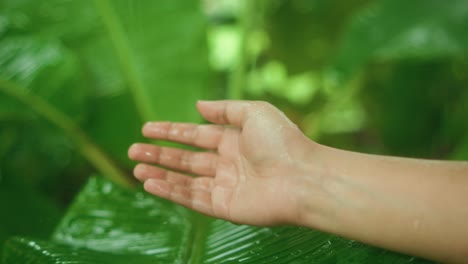 a hand gently hovers above a large green leaf, droplets of rain falling softly around it. the scene highlights the delicate interaction between human presence and the natural world