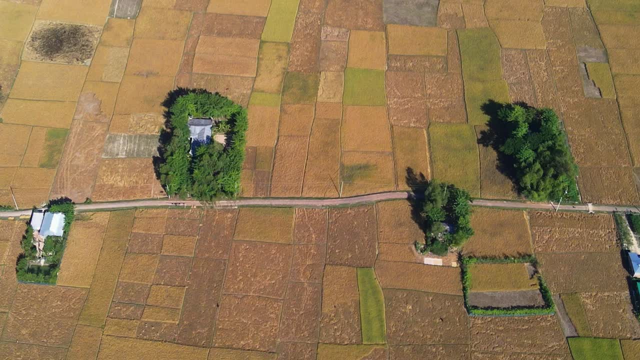 끝없는 논밭으로 둘러싸인 시골 영지, 조감도